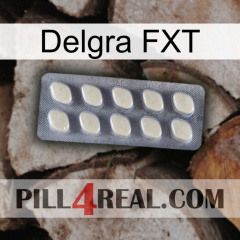 Delgra FXT 08